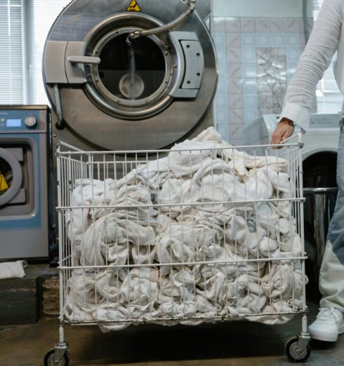 pexels-tima-miroshnichenko-8774638